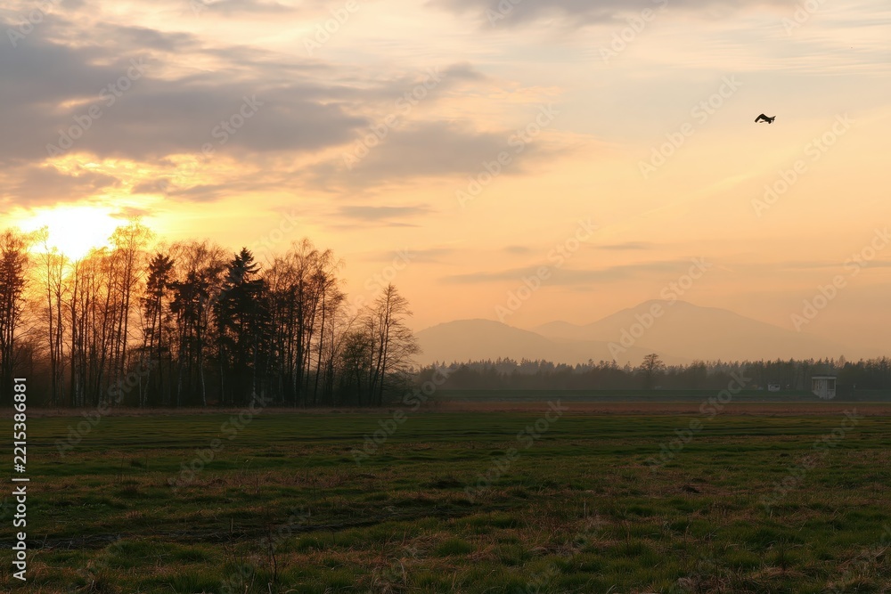 Fototapeta premium Sunset over a field with trees and distant mountains