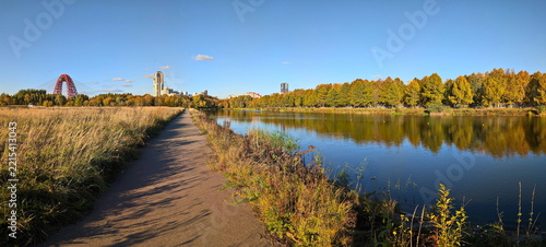 Photography The autumn horizon of the urban forest