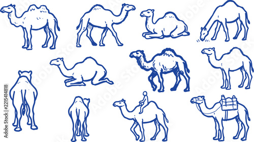 Collection of blue line art camel doodles on a white background