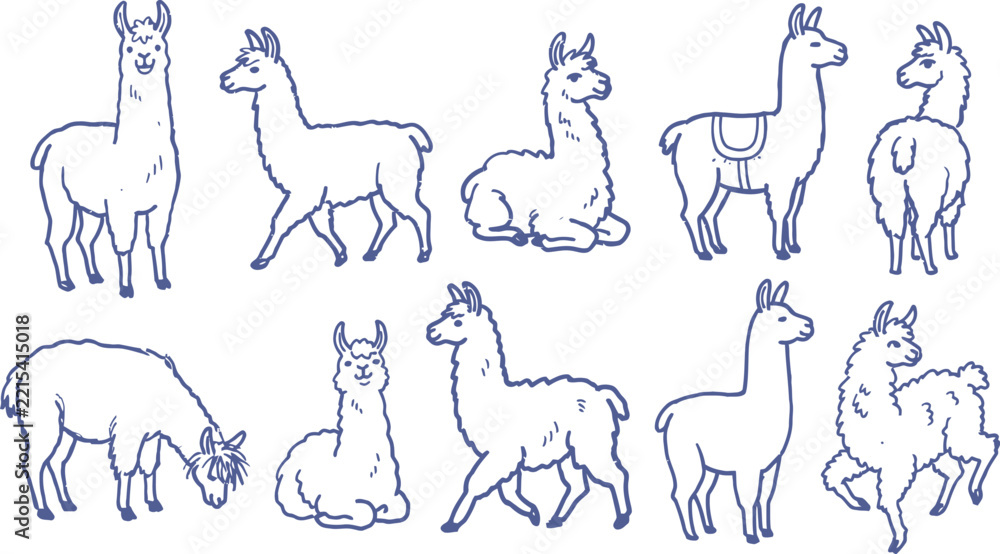 Fototapeta premium Collection of hand drawn llama illustrations in a blue line art style