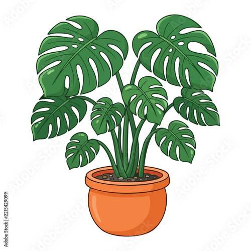 Illustrated Monstera Plant in Terracotta Pot Isolated