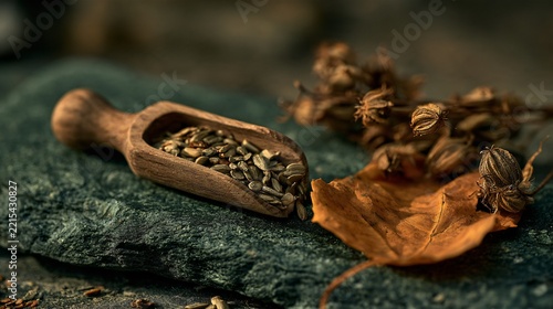 A small wooden scoop filled with sunflower seeds and autumn elements rests on deep forest-green stone beside an ochre leaf and dried seed pods, creating a sophisticated natural palette