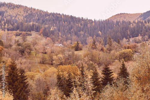 Autumn mountain landscape Carpathian nature background