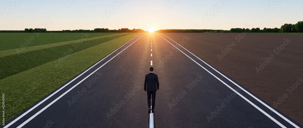 Fototapeta premium Back View of a Businessman in Suit Walking on an Endless Straight Asphalt Road Towards the Bright Sun at the Horizon, Featuring a Perspective Shift with Green Fields and Brown Soil
