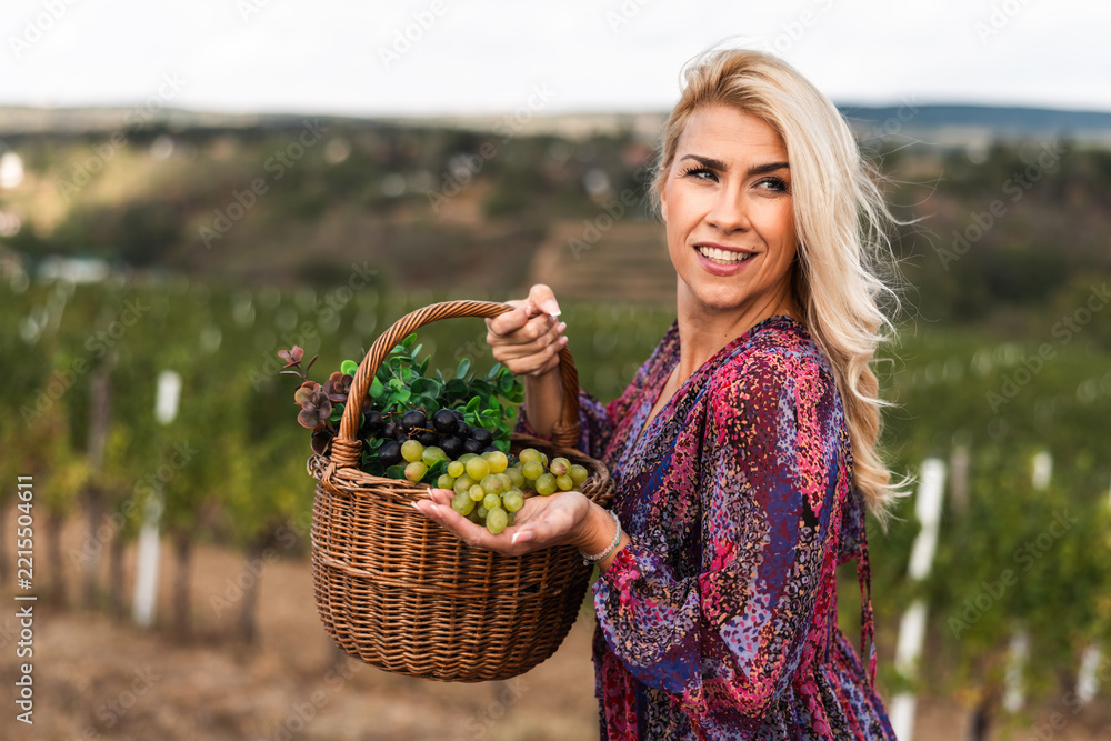 Fototapeta premium Woman holding basket of grapes in vineyard during sunny day
