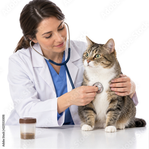 Female veterinarian examining tabby cat with stethoscope isolated on transparent background PNG cutout