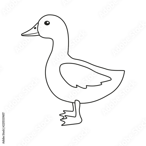 Vector flat outline duckling isolated on white background