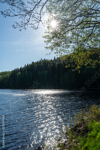 Small lake with green trees, sun  and blue sky