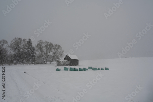Winter landscape with heavy snow and a wooden hut with some straw bales and trees during a snowfall.