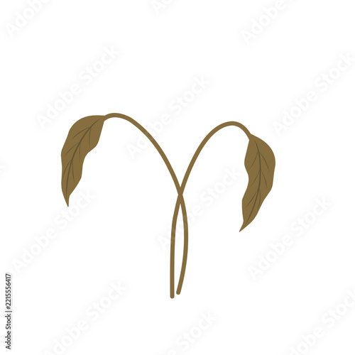 Illustration of wilted leaves. Vector of wilted plant. Environmental damage. Design of wilted plant. Element of wilted leaves. Illustration of wilted plants due to lack of water and care. Duan withere