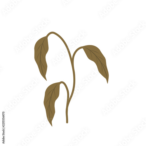 Illustration of wilted leaves. Vector of wilted plant. Environmental damage. Design of wilted plant. Element of wilted leaves. Illustration of wilted plants due to lack of water and care. Duan withere
