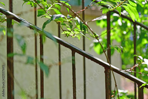 old rusty balustrade overgrown with green