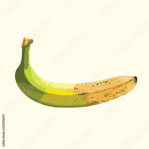 Realistic Banana Fruit Vector Illustration