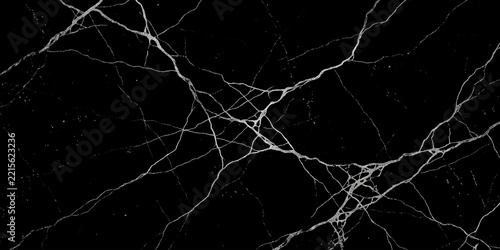 Abstract pattern of fine white cracks resembling lightning or veins across a deep black background, creating a dramatic and textured visual.