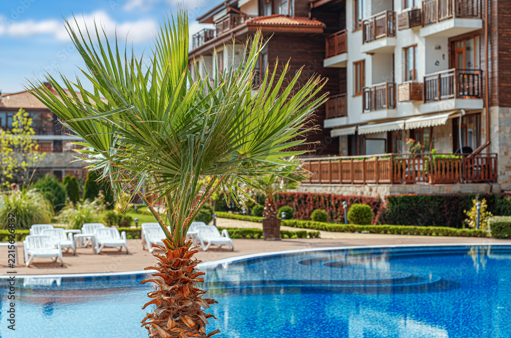 Fototapeta premium A tropical palm tree stands by a clear blue swimming pool outside a modern resort under a sunny sky.