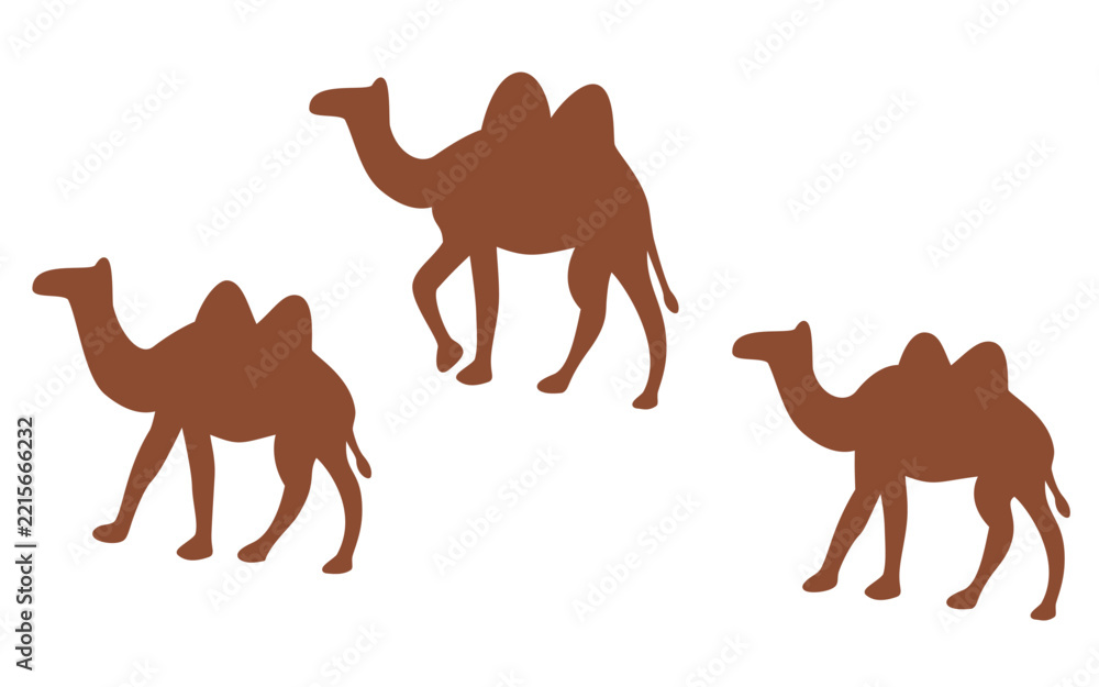 Fototapeta premium Three Camels Silhouette. Three camels walking together in a simple silhouette illustration, suitable for desert, travel, adventure, safari and animal themed designs.