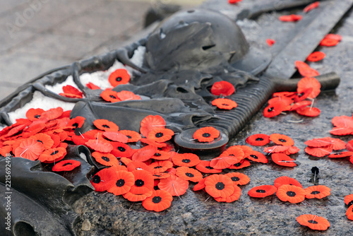 Remembrance Day red poppies at Tomb of the Unknown Soldier in Ottawa, Canada.