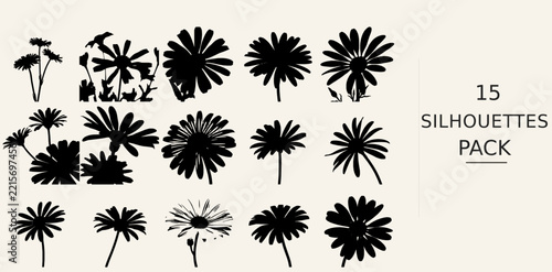 Daisy Flower Silhouette Fine Detail Solid Black Silhouette Vector SVG Black Shape on White Background Clipart Graphic