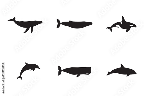 set of whale and dolphin silhouette. Isolated on transparent background, png