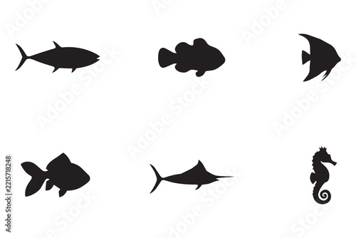 six diverse fish silhouette. Isolated on transparent background, png