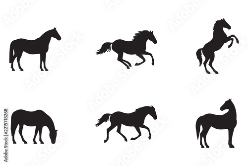 six different horse silhouette icon illustration . Isolated on transparent background, png
