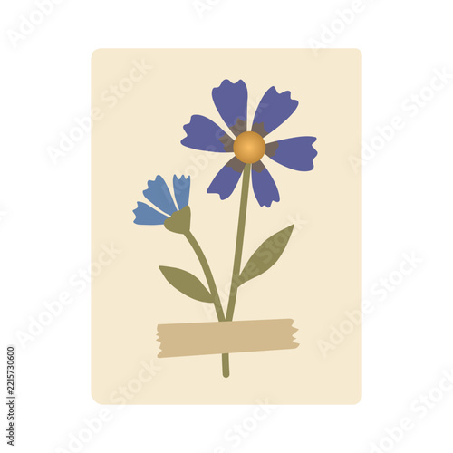 Botanical specimen card in Flat Illustration for Botanical Theme