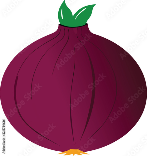 red onion isolated on white background