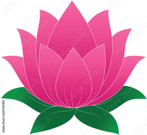 Pink Lotus Flower Vector Illustration