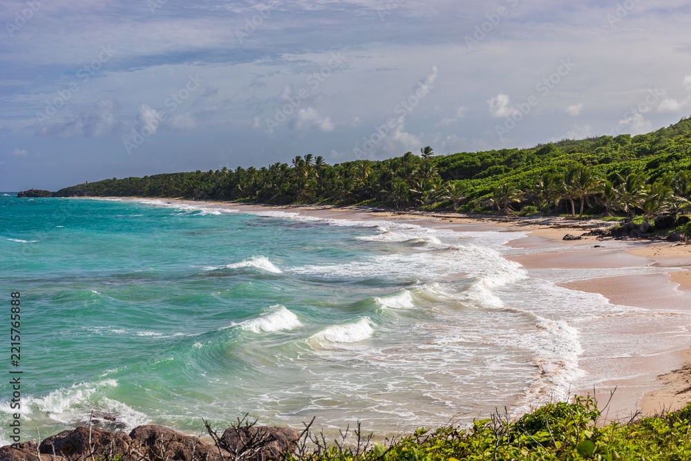 Naklejka premium Anse Grosse Roche, Le Marin, Martinique FWI