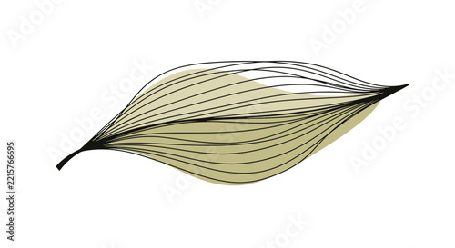 Abstract minimalist vector design of a stylized green leaf formed by delicate parallel curved lines.