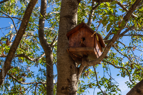 Wooden birdhouse on the tree