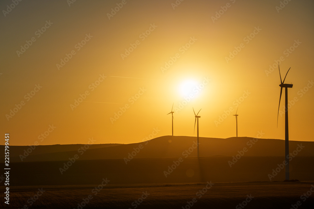 Obraz premium Golden sun sets behind wind turbines