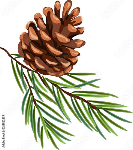 Christmas tree branches, green fir needles and natural festive elements for Christmas and New Year design.. EPS 10