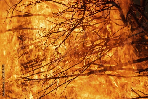 Burning branches amidst blazing flames in an intense fire, Finland