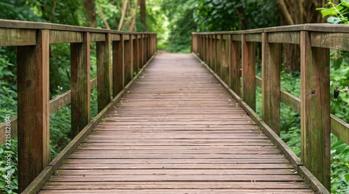 Perspective view of wooden bridge path through lush green forest