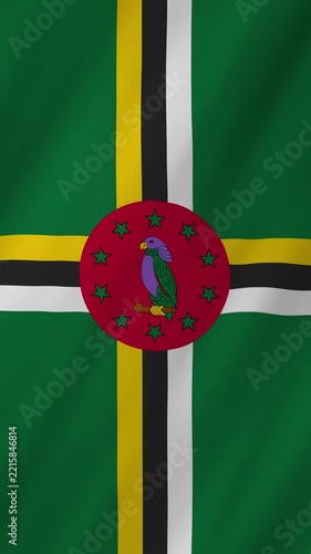 Dominica flag waving in the wind 4K animation vertical video