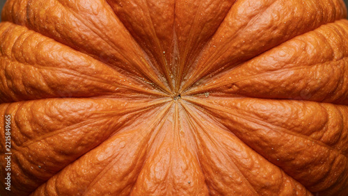 Ribbed orange pumpkin skin with radiating ridges, top view