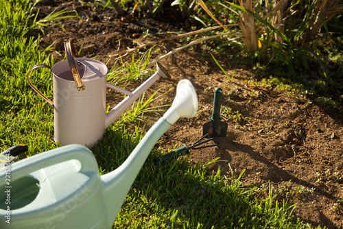 Light-blue watering can is sitting on lawn while pink metal can and green trowel are resting