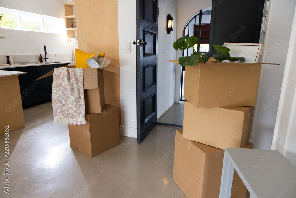 Fototapeta premium Stack of three cardboard boxes is holding potted plant leaves near open black door and kitchen