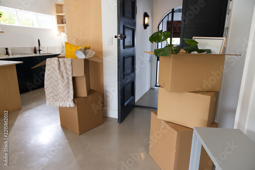 Stack of three cardboard boxes is holding potted plant leaves near open black door and kitchen