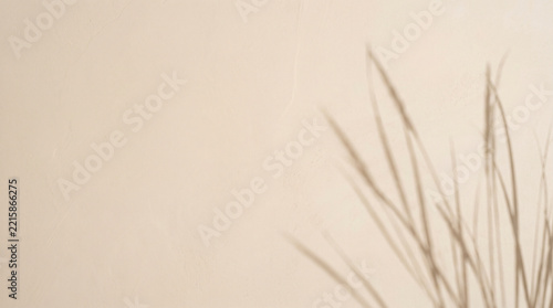 Shadows of tall grass blades on a textured beige wall, copy space