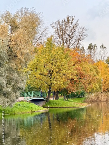 autumn trees reflection on the lake surface in the park, beautiful nature, colorful trees, peaceful lake view