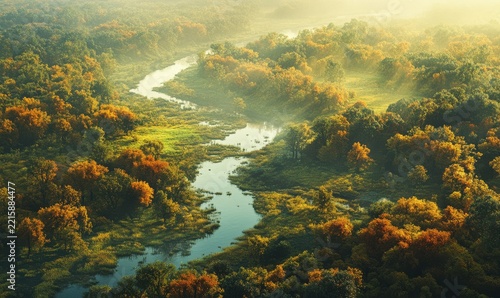 Scenic aerial view of a golden autumn forest with a calm river winding through, soft sunlight creating a warm natural atmosphere, clean landscape photography,