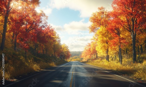 Scenic country road lined with autumn trees in vibrant red and yellow hues, soft sunlight enhancing the seasonal beauty