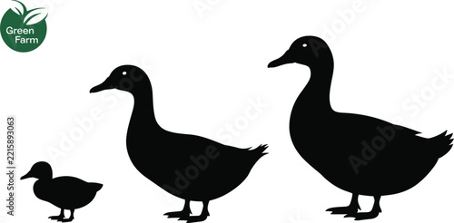 Duck family silhouette vector illustration, farm bird animal with small duckling isolated on white background