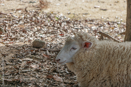 Wonderful Views and Nature at Aburayama Ranch