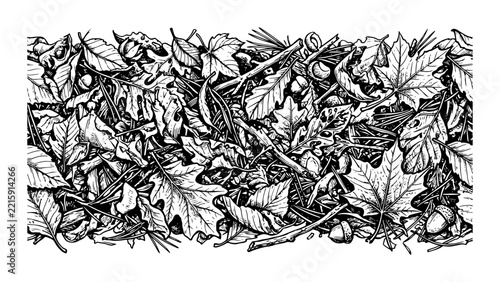 Fallen leaves and twigs in detailed woodland engraving