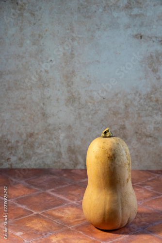 Butternut squash on a tile surface 