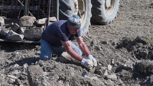 Agricoltura di Montagna, raccogliere i sassi a mano dai campi