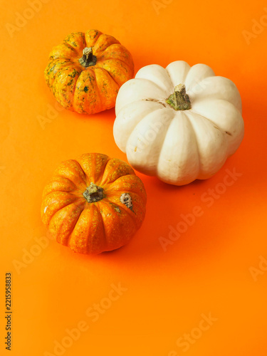 Small, textured pumpkins sit centered on a vibrant orange background. Its stem is dark and slightly rough, adding contrast. The pumpkin's surface shows natural ridges and subtle blemishes